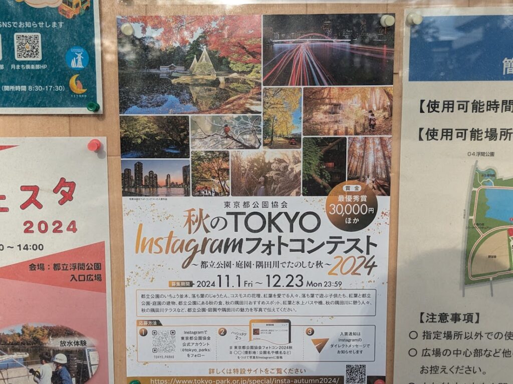 秋のTOKYO Instagram　フォトコンテストポスター