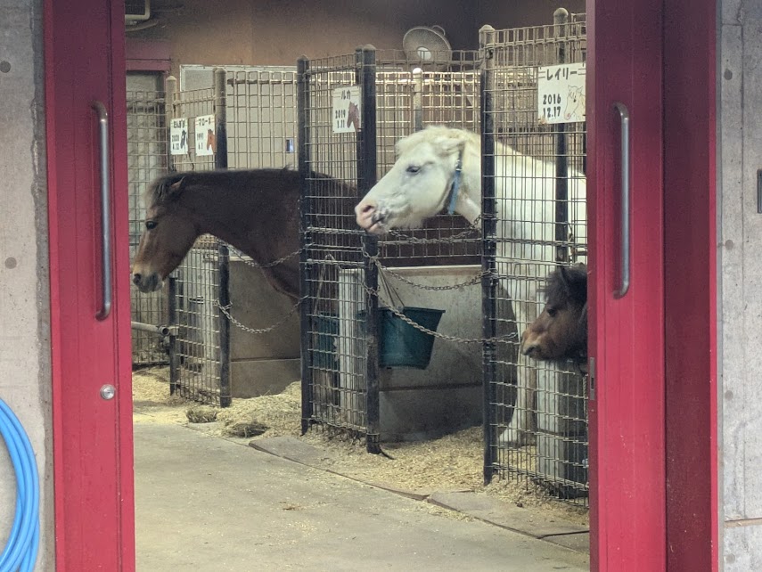 板橋こども動物園