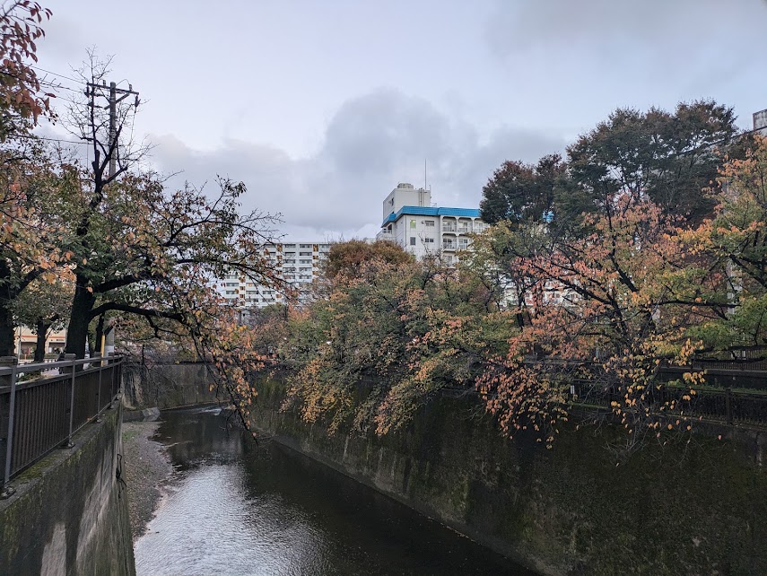 石神井川紅葉