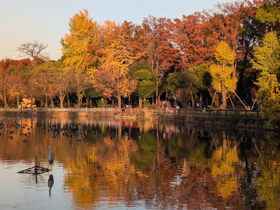 浮間公園