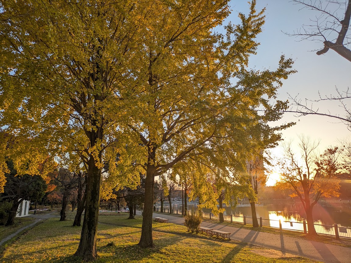 浮間公園