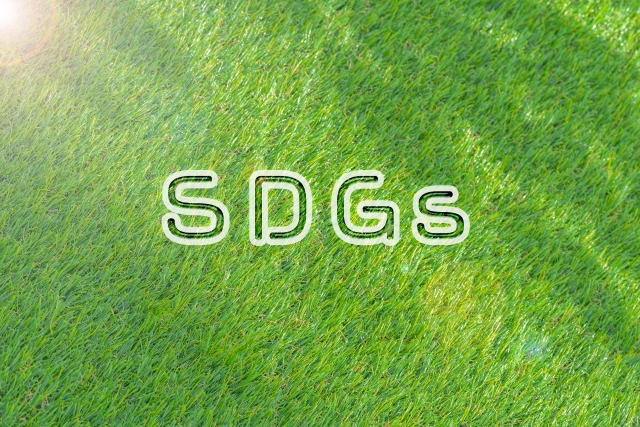 SDGS