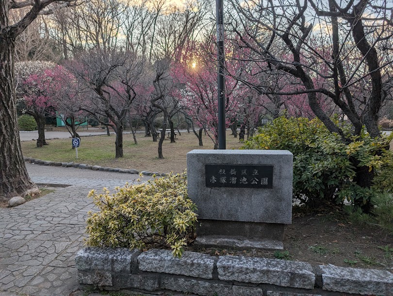 赤塚溜池公園