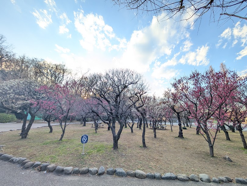 赤塚溜池公園