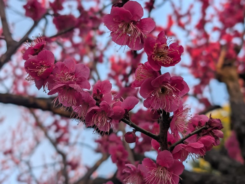 浮間公園