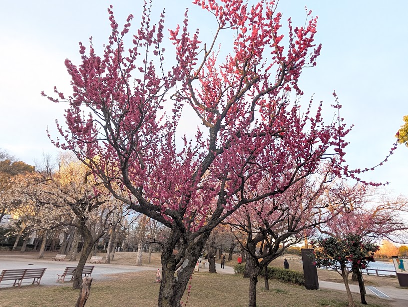 浮間公園