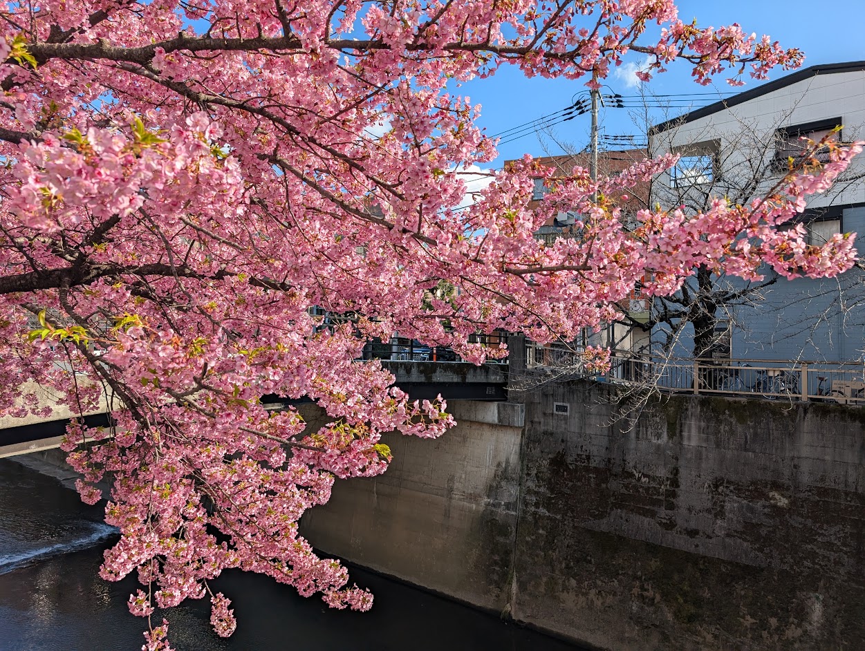 石神井川