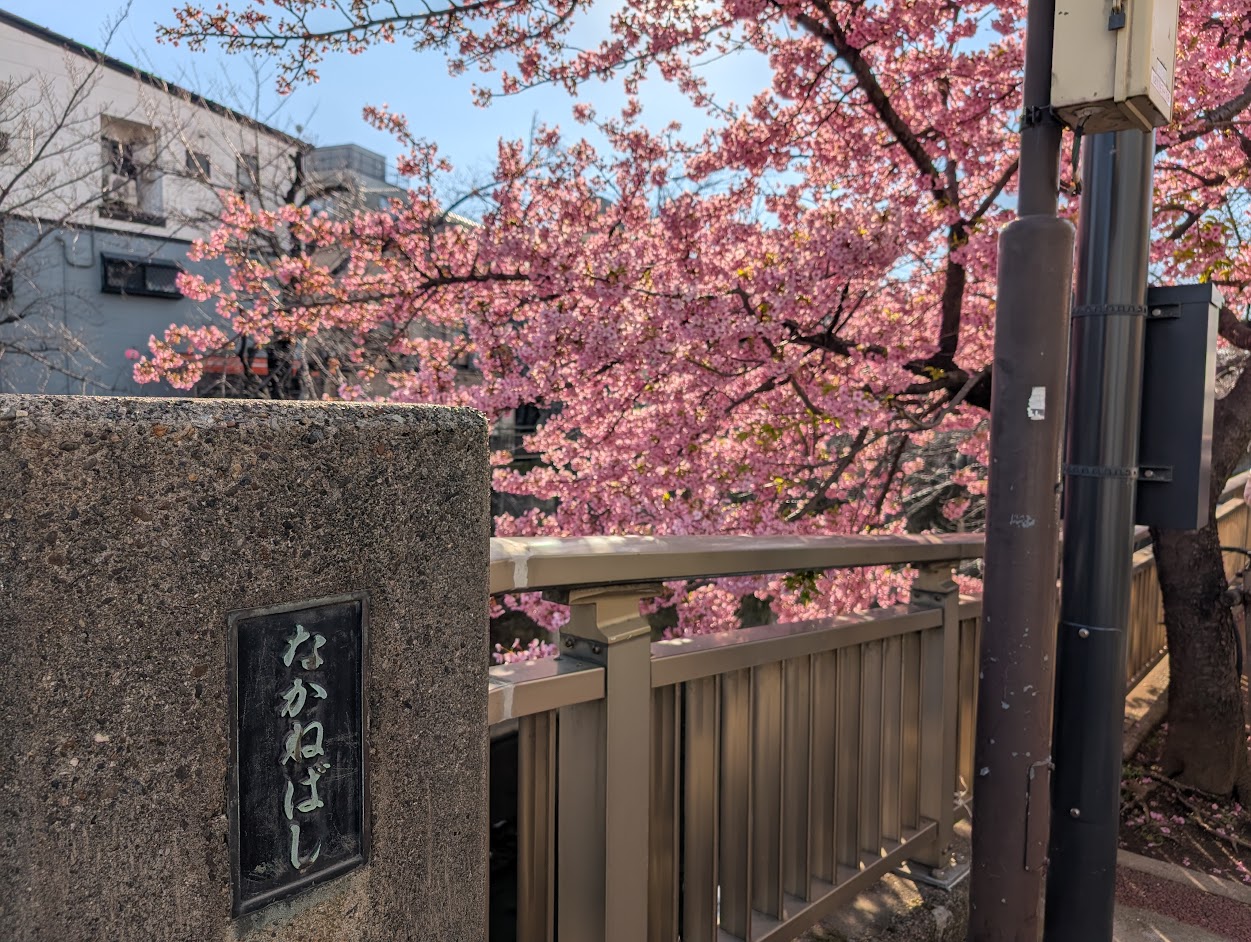 石神井川