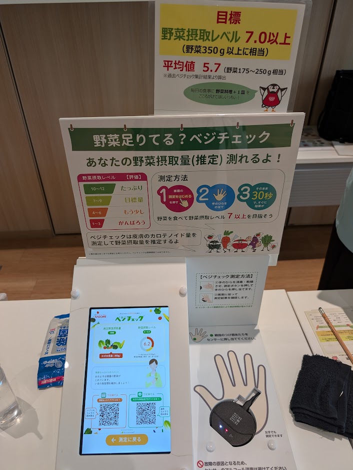 板ベジチャレンジ