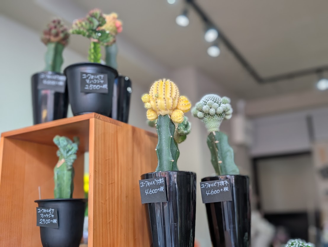 flower shop atelier 咲