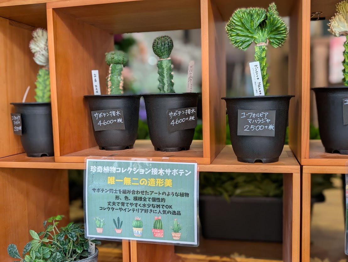 flower shop atelier 咲