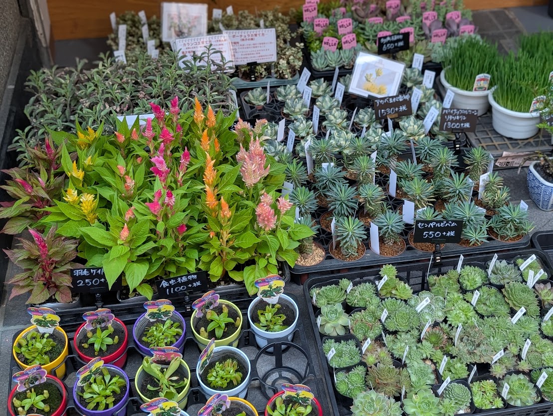 flower shop atelier 咲