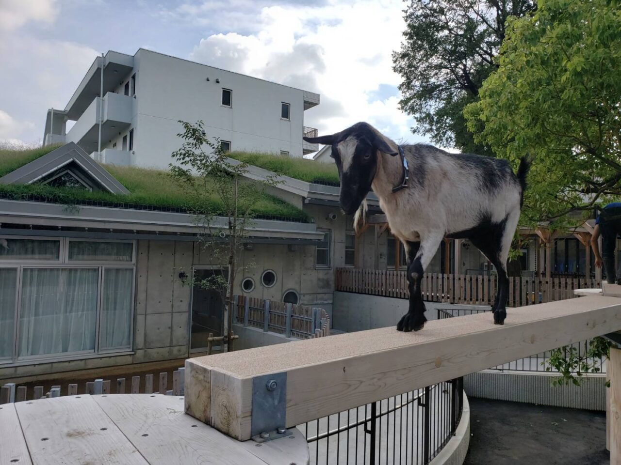 板橋区立こども動物園