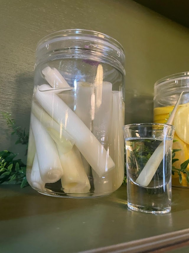 カフェバーグリーン