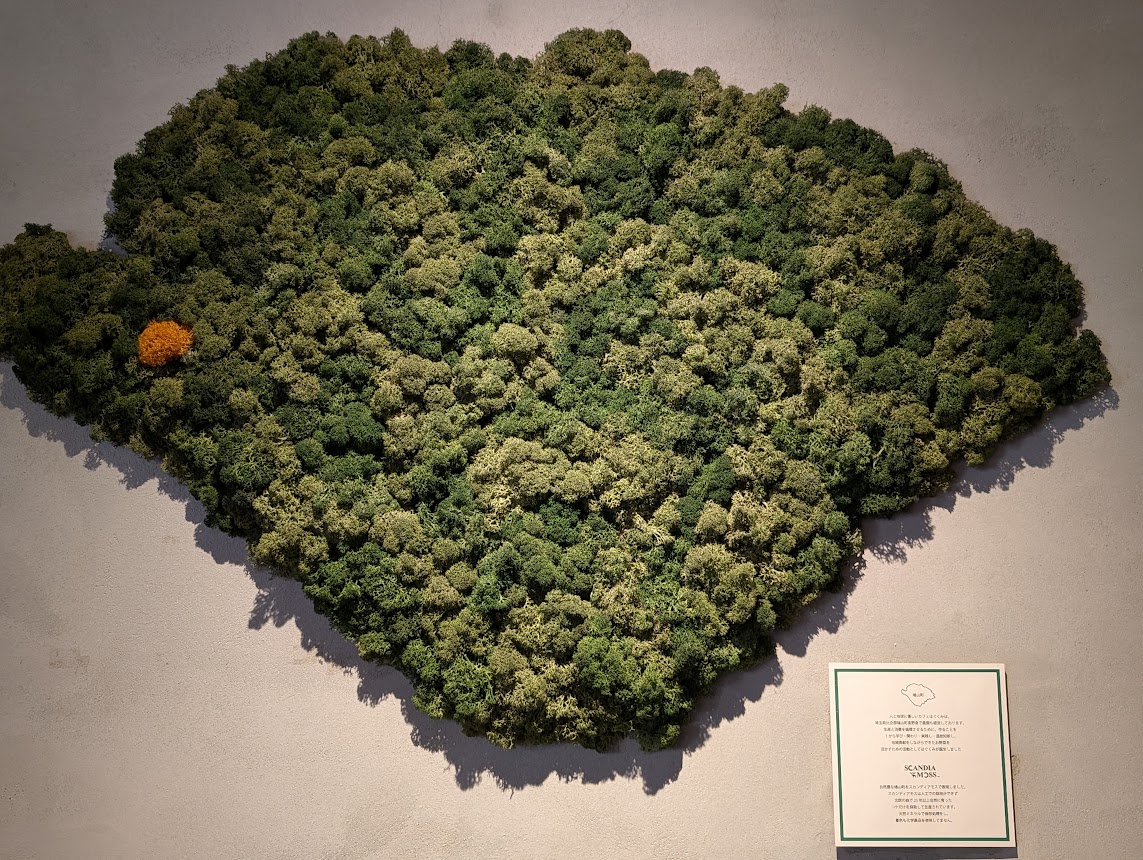 はぐくみカフェ