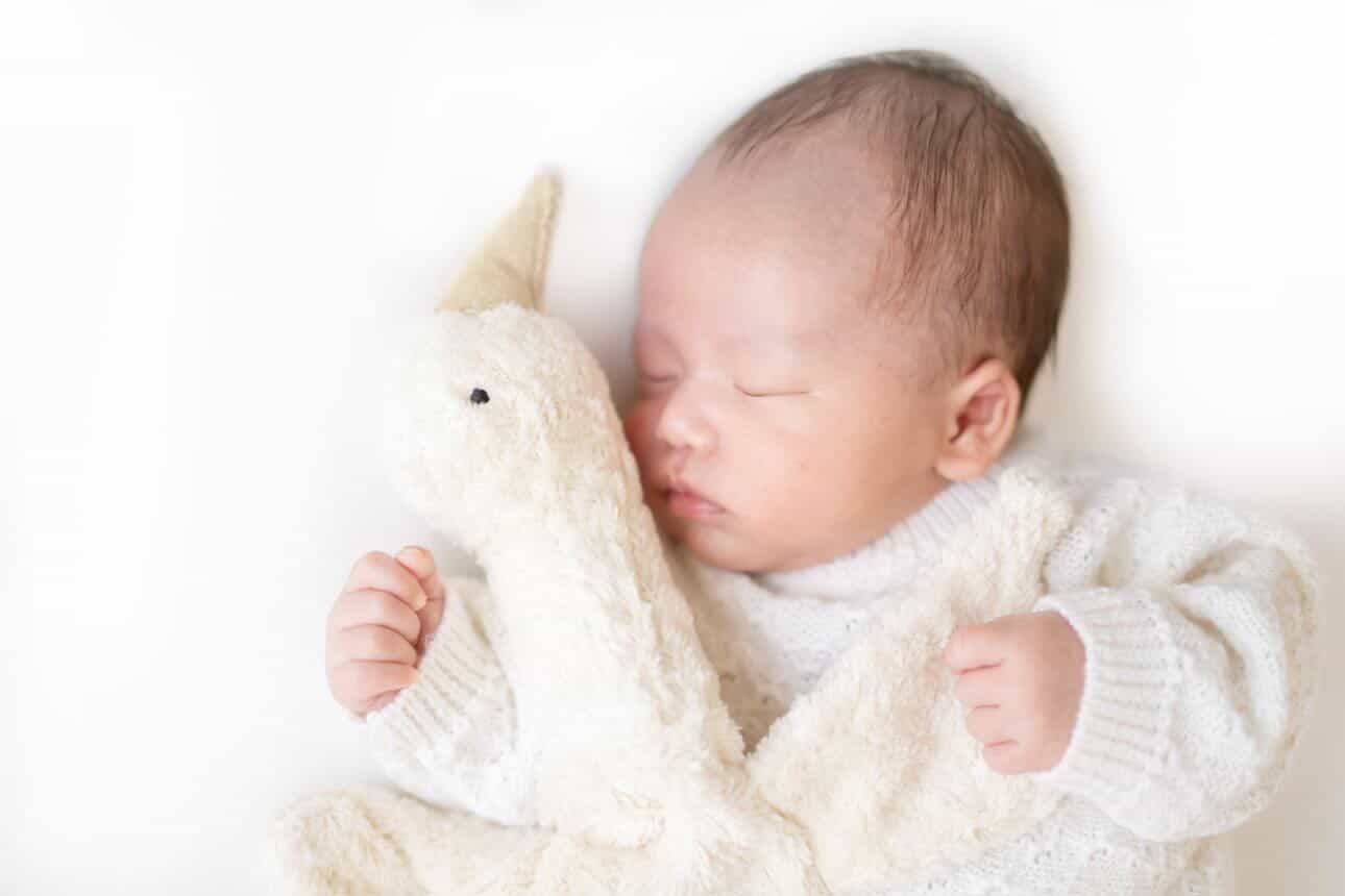 olive newborn photography