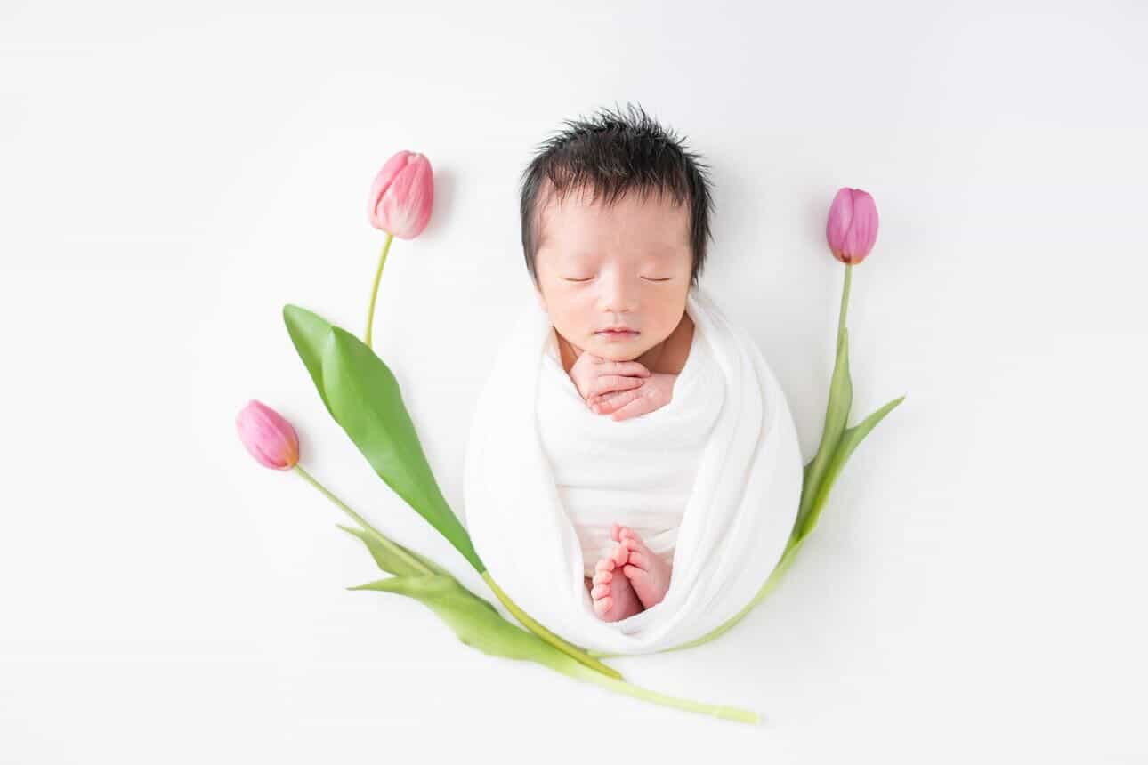 olive newborn photography