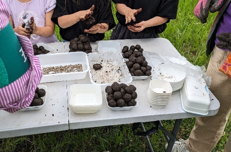 かみいたねプロジェクト