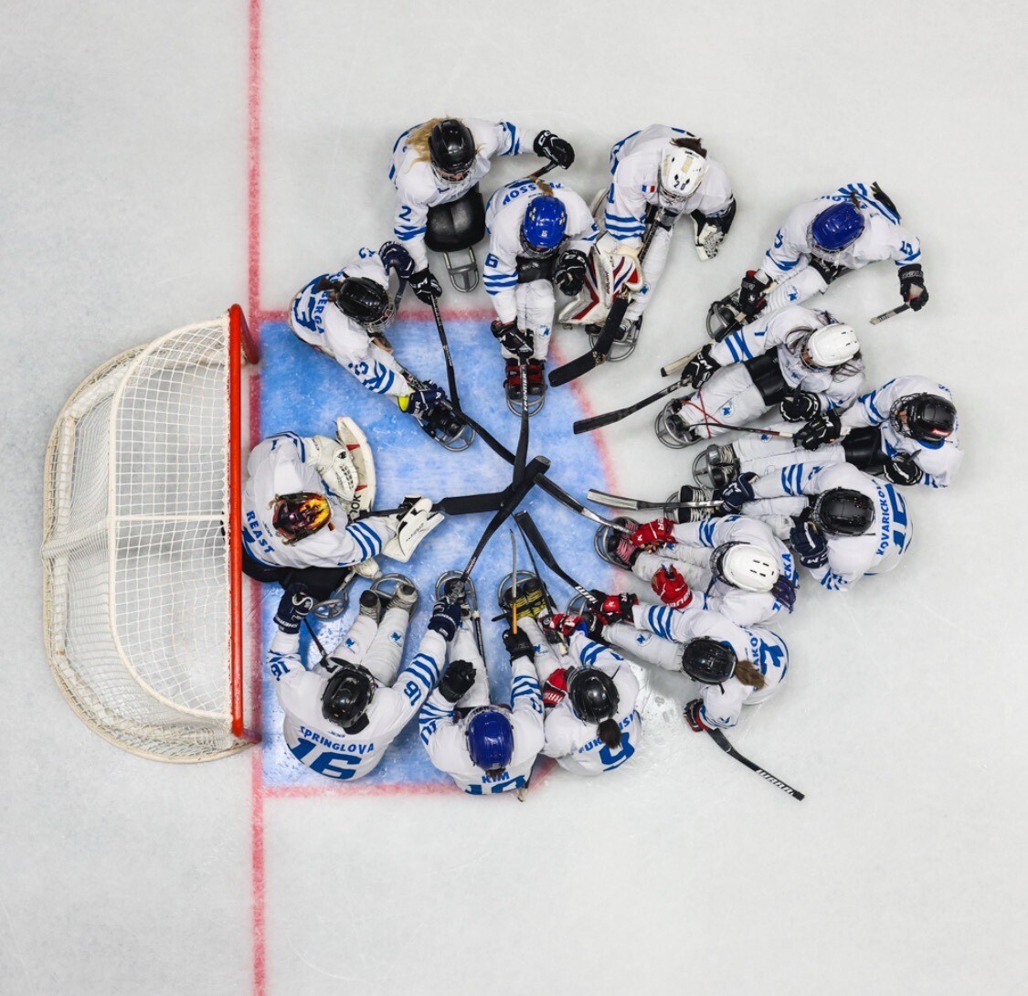 女子パラアイスホッケー