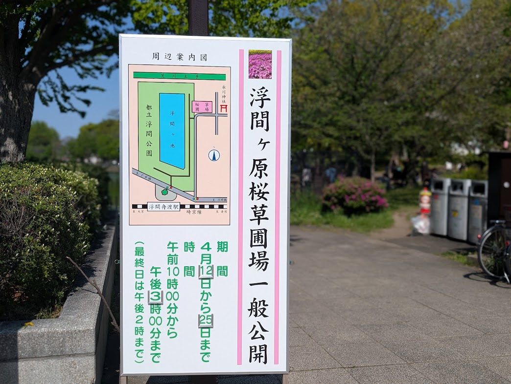 浮間さくら草祭り