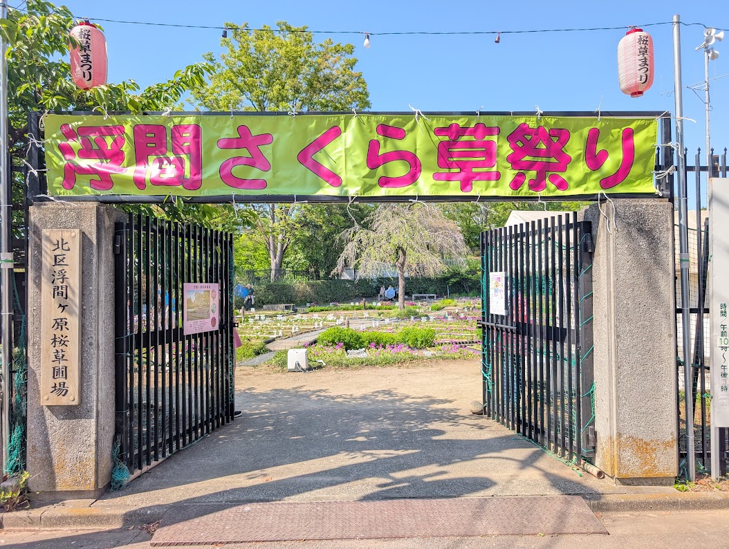 浮間さくら草祭り