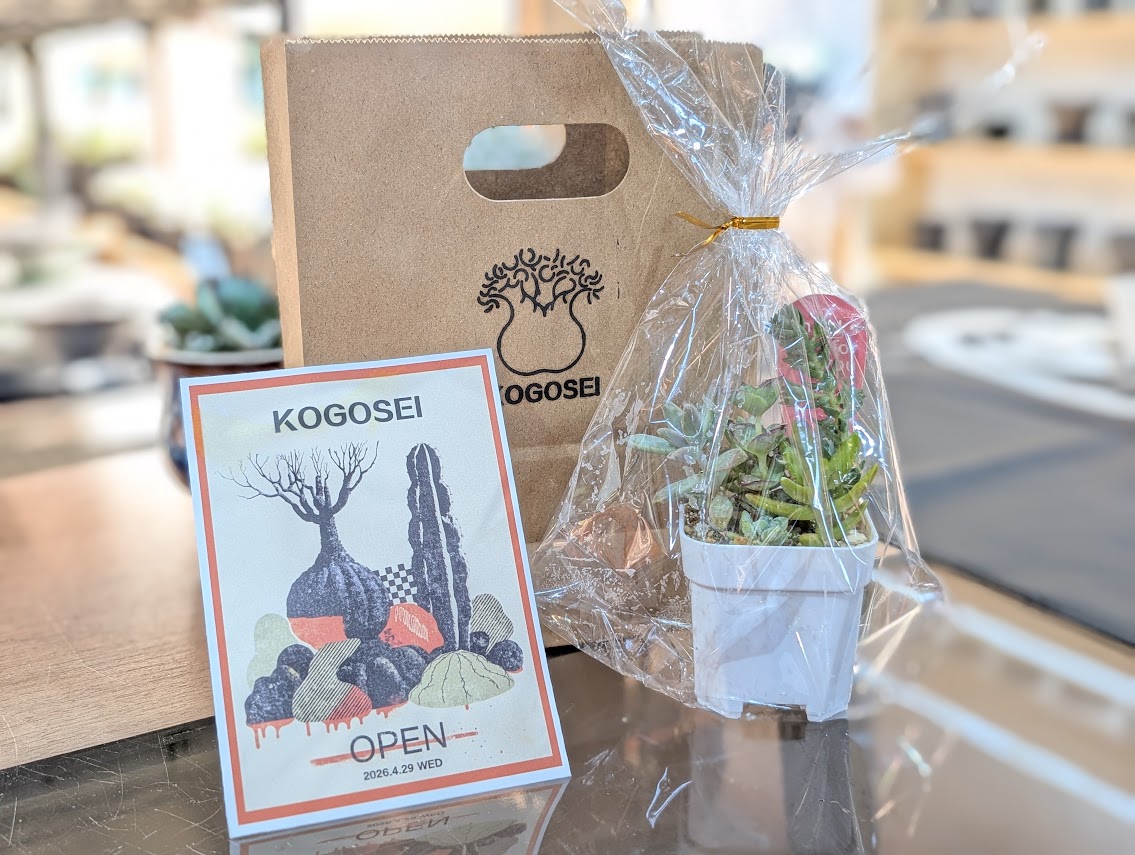 KOGOSEI