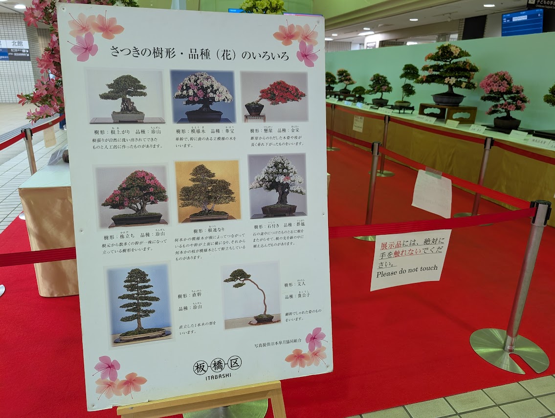 さつきフェスティバル