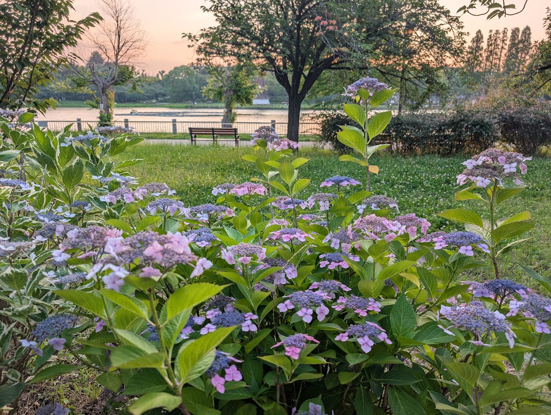 浮間公園