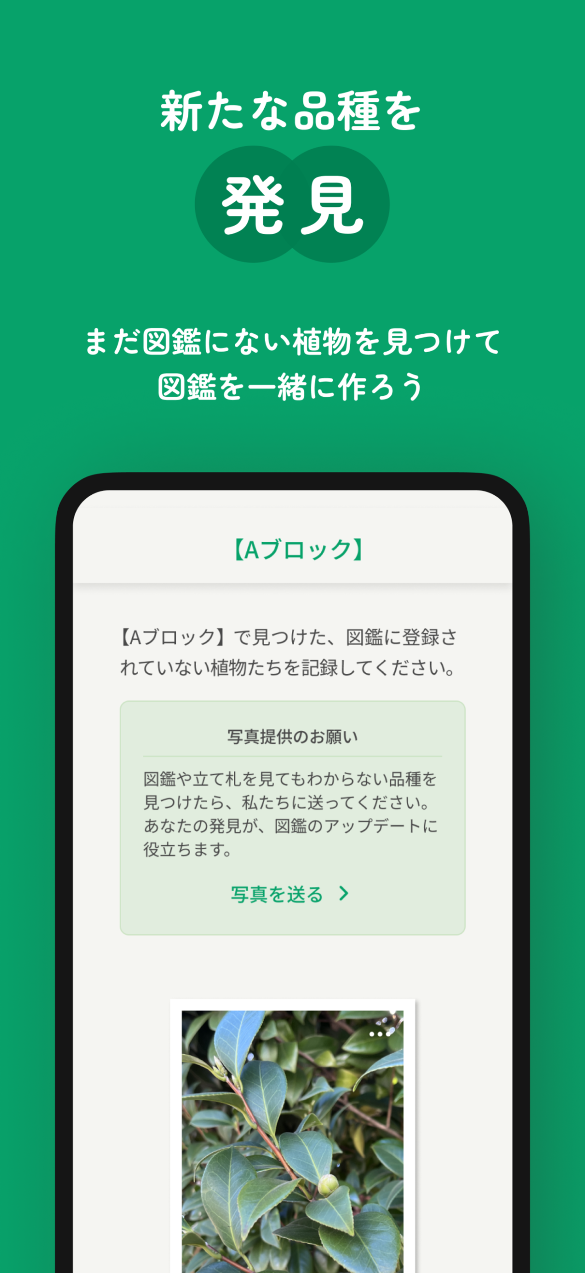 高島平緑地みどりのコレクション