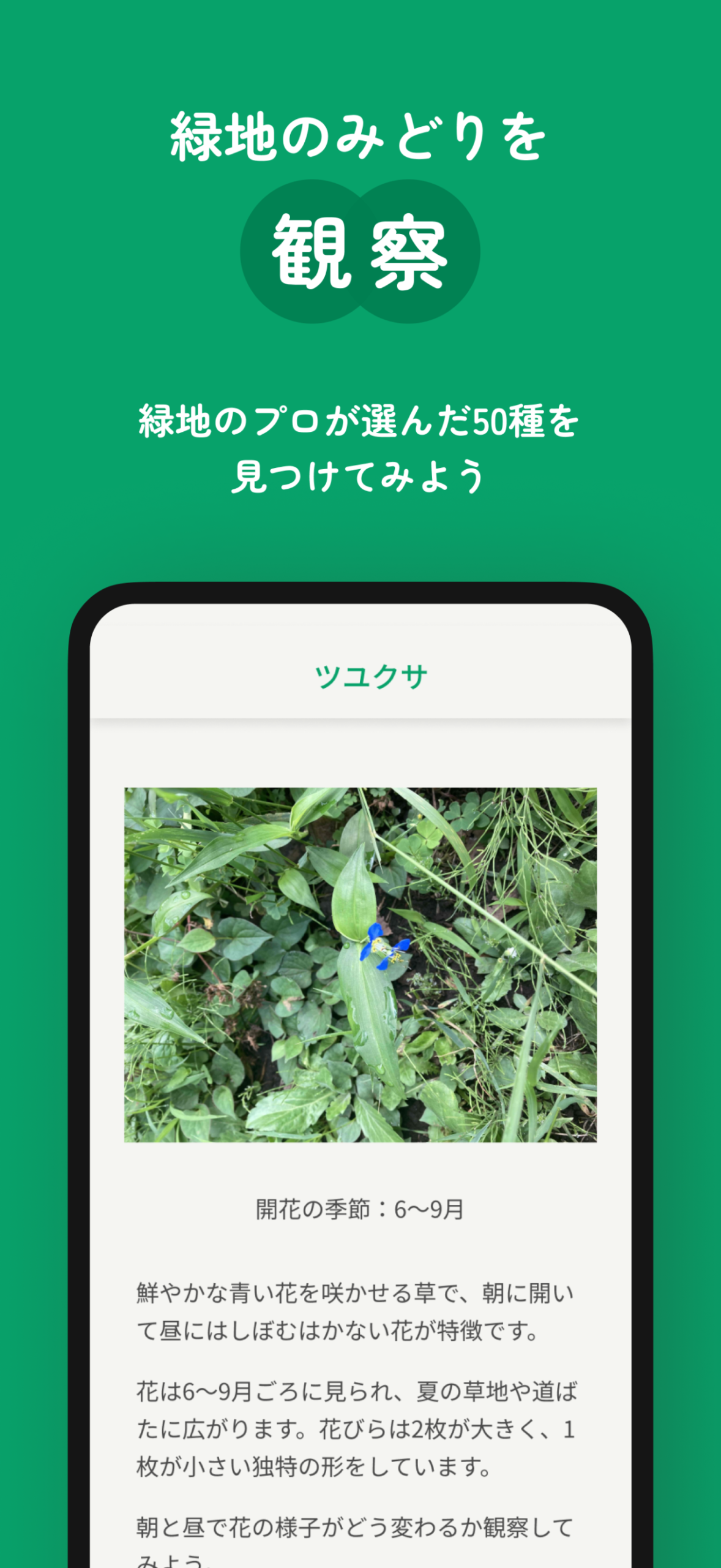 高島平緑地みどりのコレクション