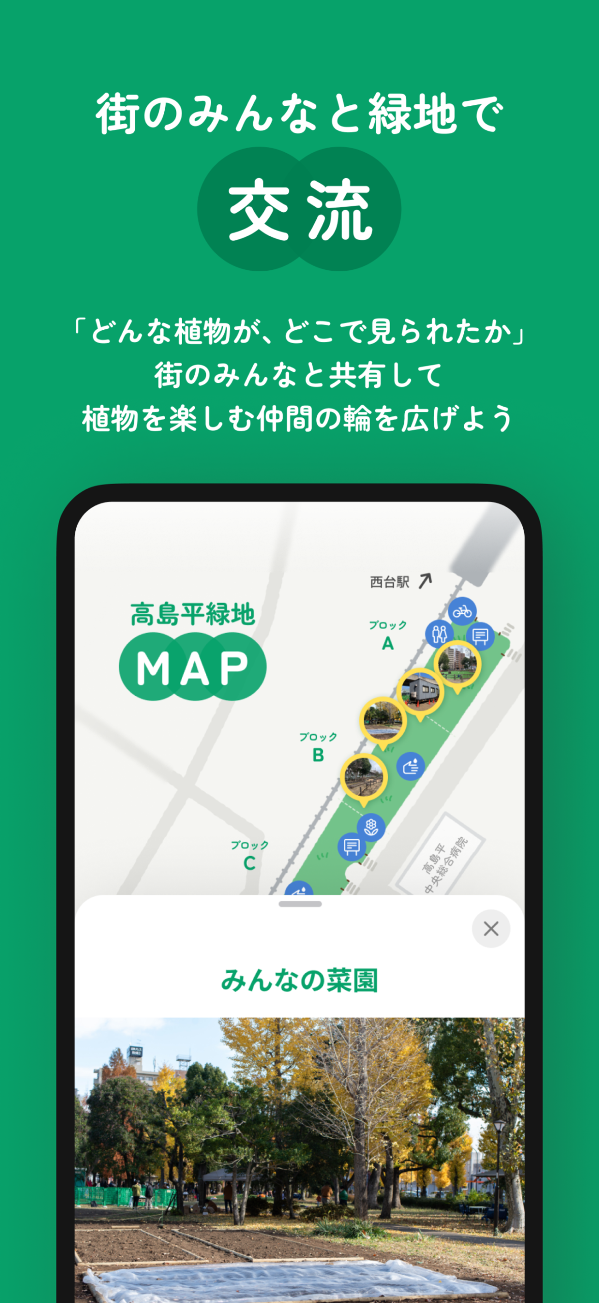高島平緑地みどりのコレクション