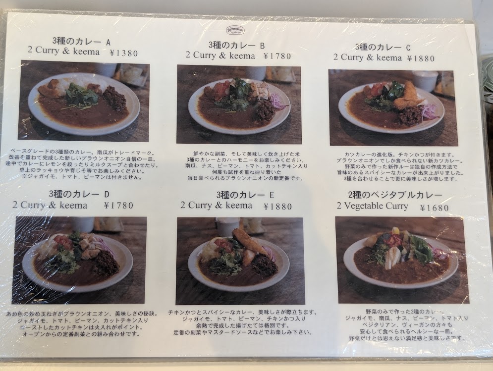 brown onion curry factory