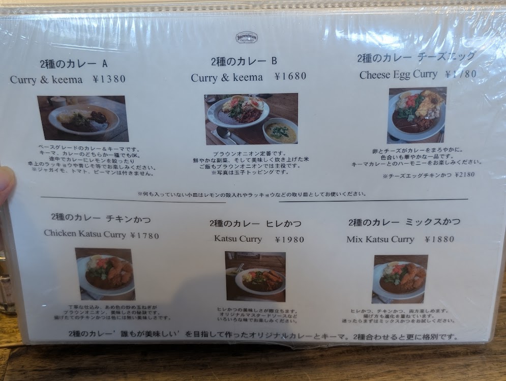 brown onion curry factory