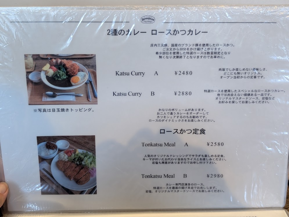 brown onion curry factory