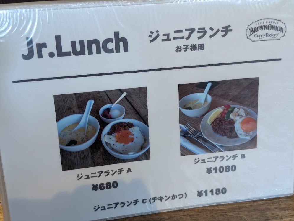 brown onion curry factory
