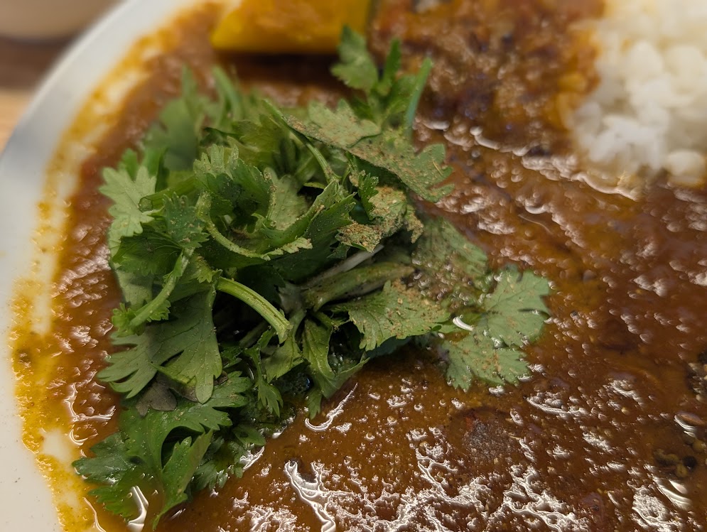 brown onion curry factory