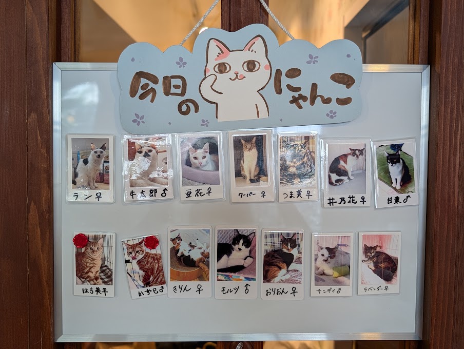 CAT'S INN TOKYO
