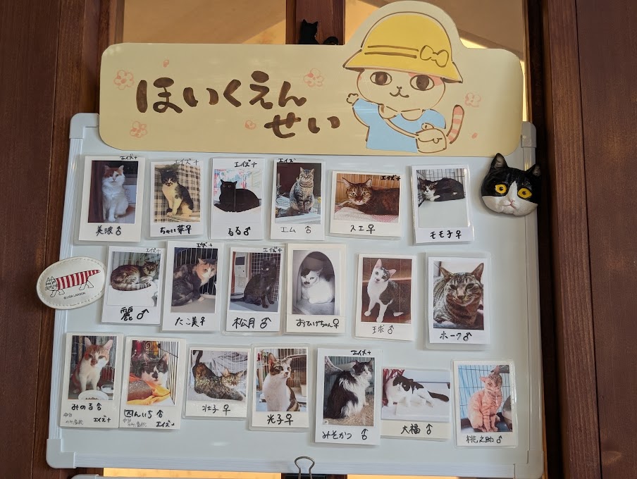 CAT'S INN TOKYO