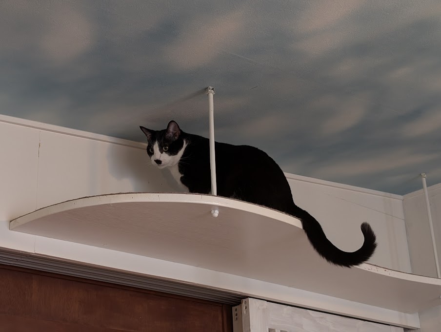 CAT'S INN TOKYO