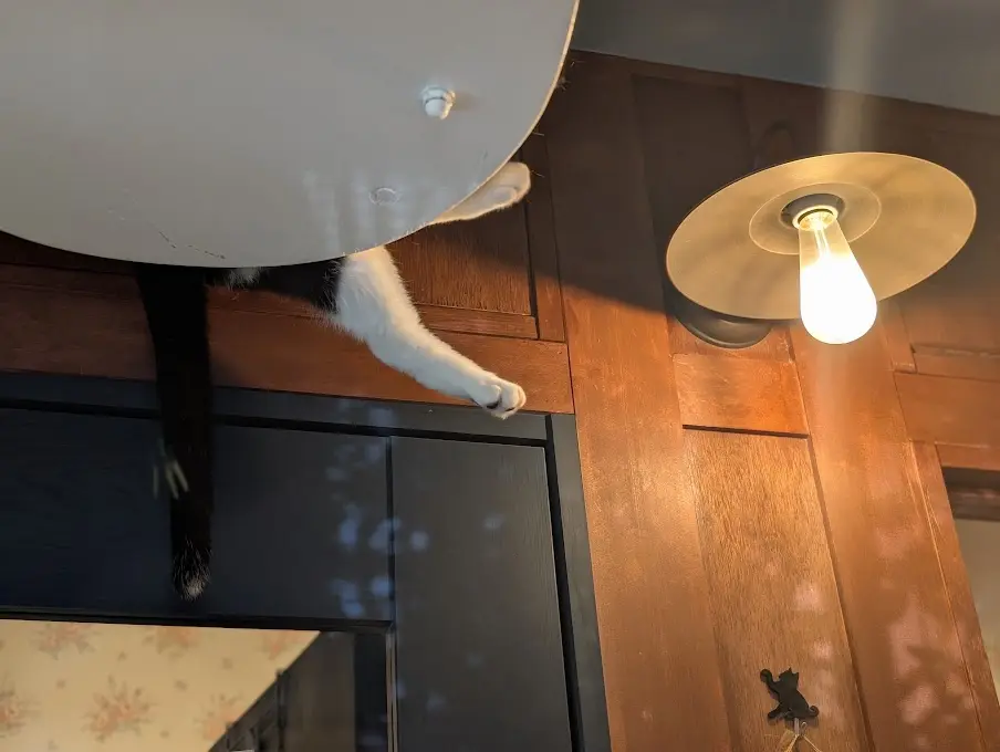 CAT'S INN TOKYO