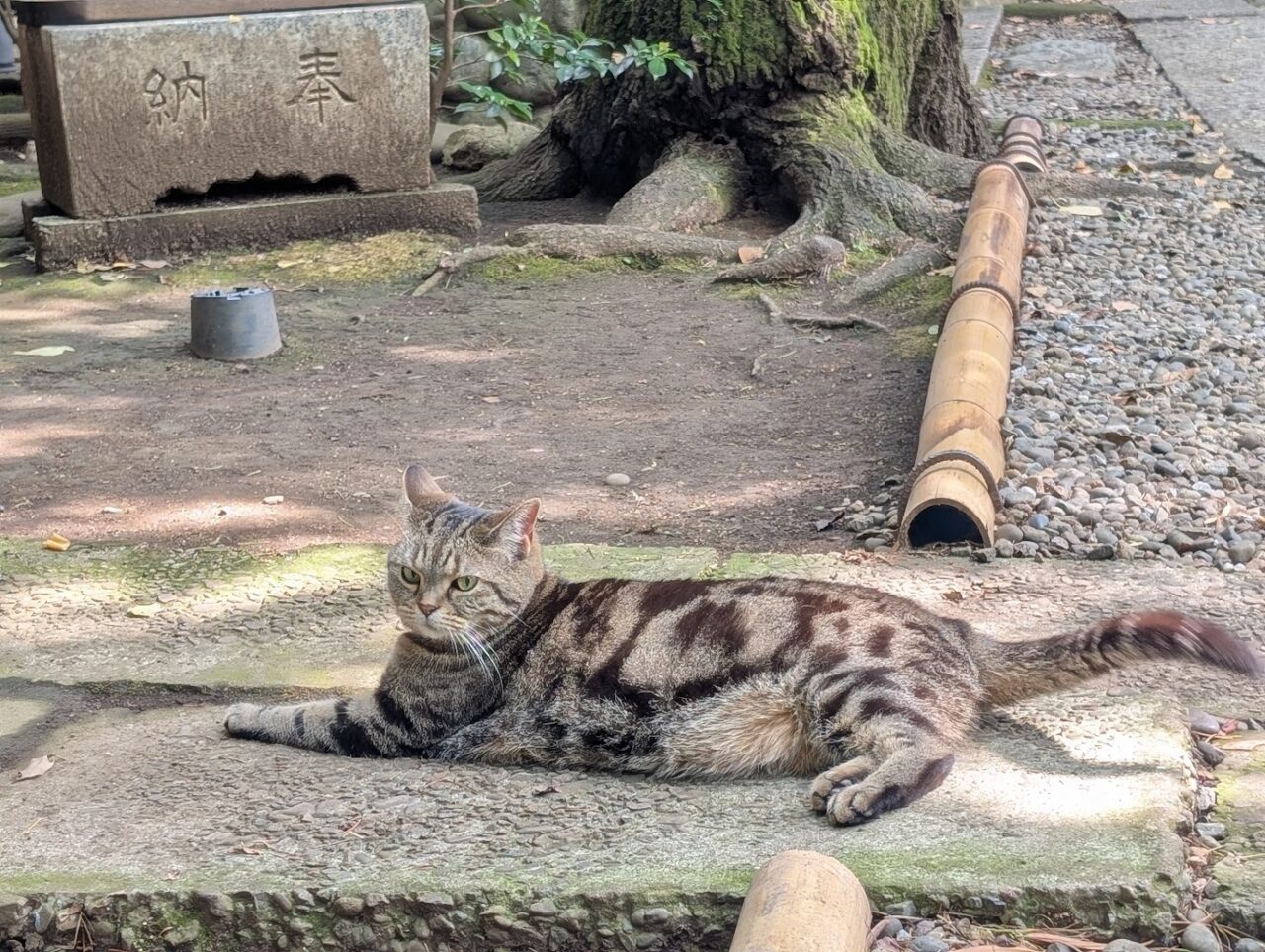 TORII茶寮