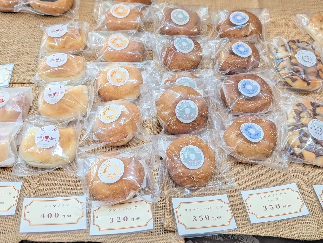 USAPAN