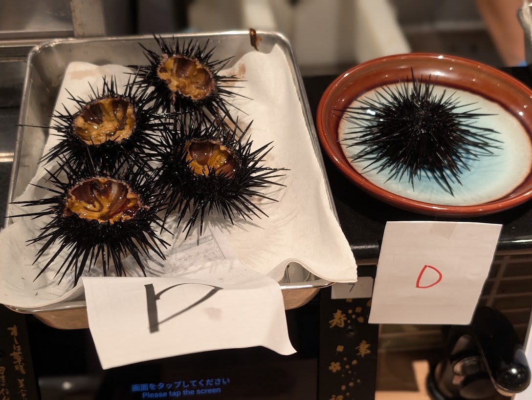 UNI1グランプ2026